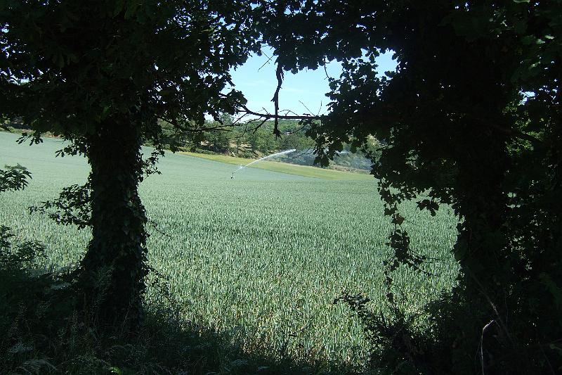 2011-05- (1006).JPG